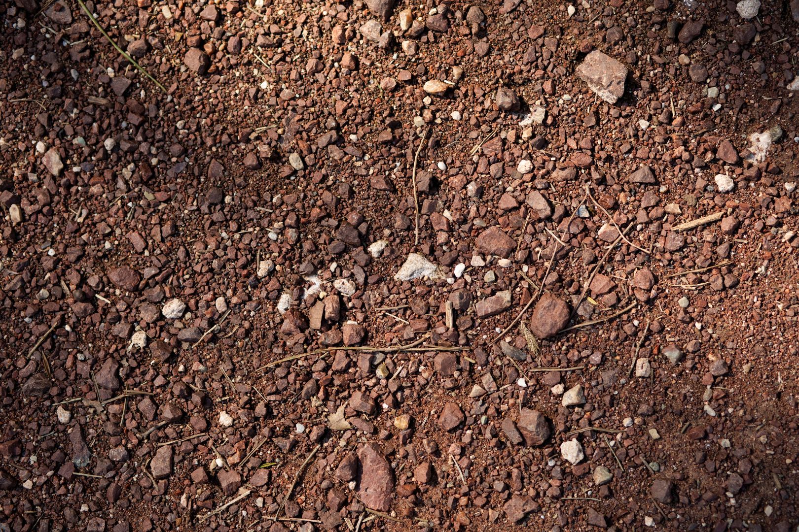 Como Preparar o Terreno Antes da Limpeza de Fossa